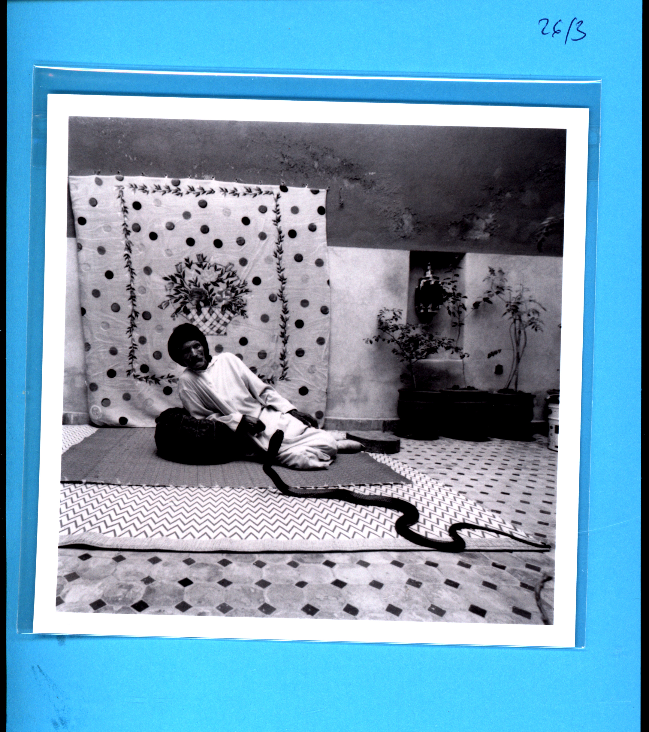 Hassan Haijaj, Snake Charmer 2003/1414